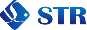 株式会社ソフト技術研究所