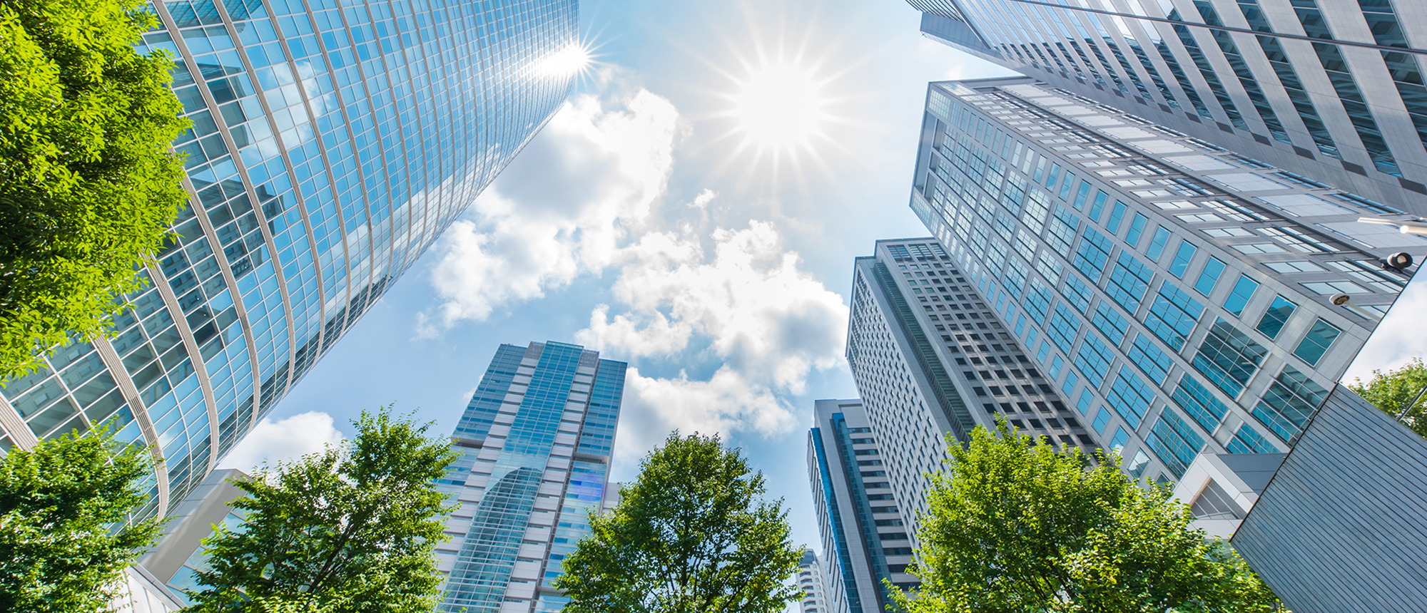 株式会社ソフト技術研究所イメージ1